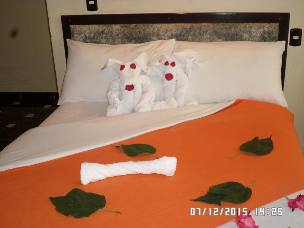 New Day Machu Picchu Hotell Aguas Calientes Exteriör bild