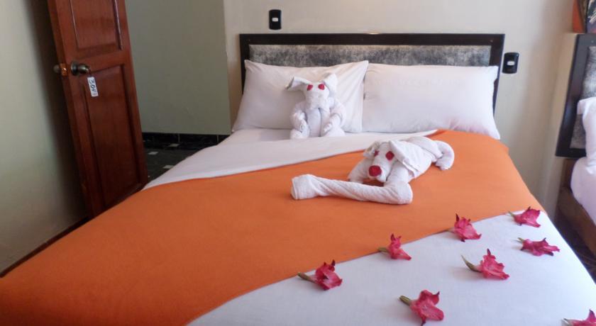New Day Machu Picchu Hotell Aguas Calientes Exteriör bild