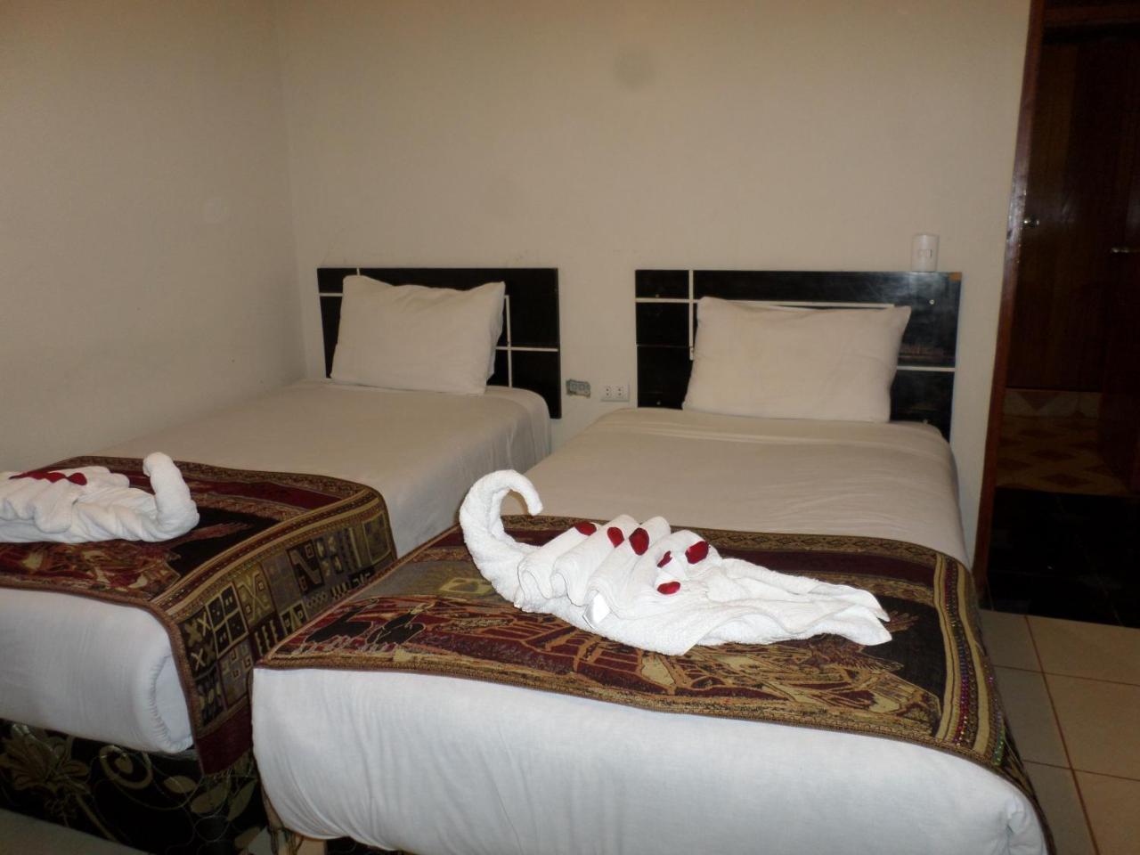 New Day Machu Picchu Hotell Aguas Calientes Exteriör bild